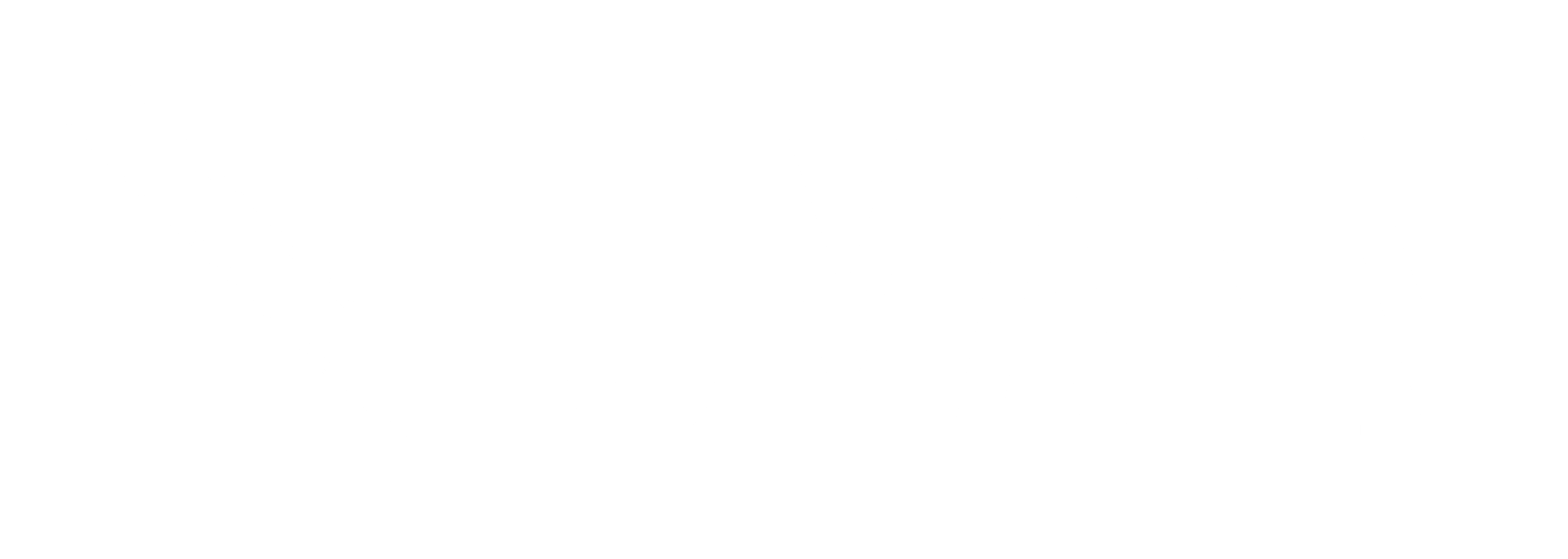 NeumannLogo